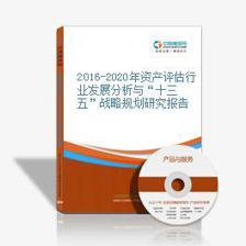 互聯(lián)網(wǎng)+資產(chǎn)評(píng)估 2018-2023年市場(chǎng)前景與變革研究
